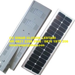 Lampu Jalan Tenaga Surya 30W All In One Integrated Solar cell + Battery